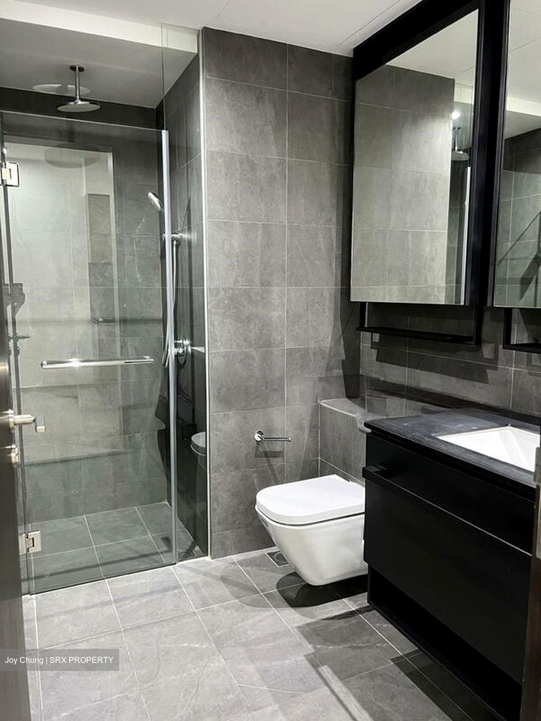 Park Colonial (D13), Condominium #503672451